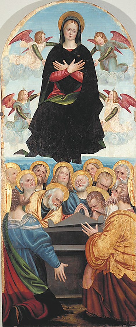 Assunta, assunzione della Madonna (dipinto, opera isolata) di Giovenone Girolamo (bottega) (sec. XVI)