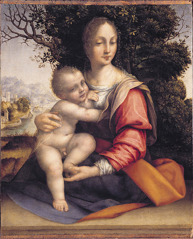 Madonna con Bambino (La Madonna dell'albero), Madonna con Bambino (dipinto, opera isolata) di Cesare da Sesto (sec. XVI)