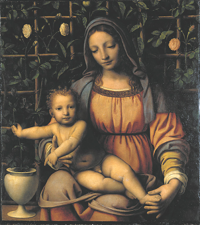 Madonna del roseto, Madonna con Bambino (dipinto, opera isolata) di Luini Bernardino (inizio sec. XVI)