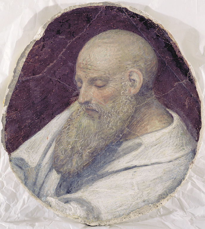 Testa di vecchio, testa di vecchio (dipinto, opera isolata) di Luini Bernardino (sec. XVI)