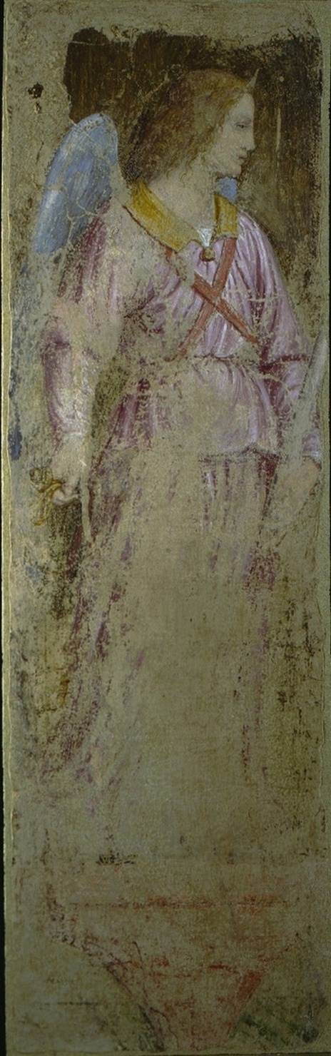 Angelo con turibolo, angelo con turibolo (dipinto, ciclo) di Luini Bernardino (sec. XVI)