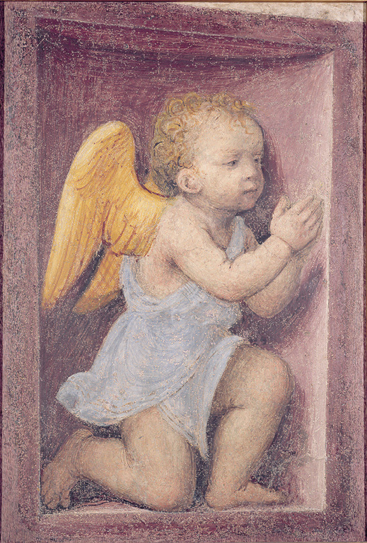 Angioletto adorante rivolto a destra, angioletto in preghiera (dipinto, ciclo) di Luini Bernardino (sec. XVI)