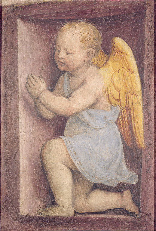 Angioletto adorante rivolto a sinistra, angioletto in preghiera (dipinto, ciclo) di Luini Bernardino (sec. XVI)