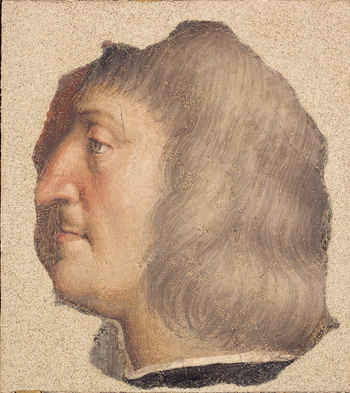 Ritratto virile di profilo, ritratto virile di profilo (dipinto, frammento) di Luini Bernardino (sec. XVI)