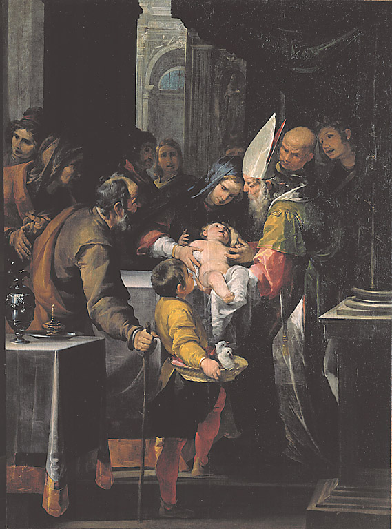 Presentazione al tempio, presentazione di Gesù al tempio (dipinto, opera isolata) di Assereto Gioacchino (sec. XVII)