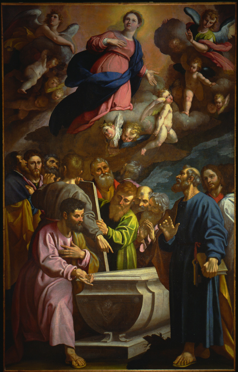 La Vergine assunta, Assunzione della Madonna (dipinto, opera isolata) di Castello Bernardo (sec. XVII)