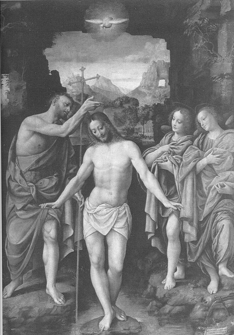 Battesimo di Cristo, battesimo di Cristo (dipinto, opera isolata) di Lanino Bernardino (sec. XVI)