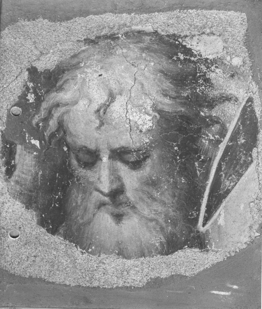 Testa di vecchio, testa d'uomo (dipinto, ciclo) di Campi Bernardino (sec. XVI)