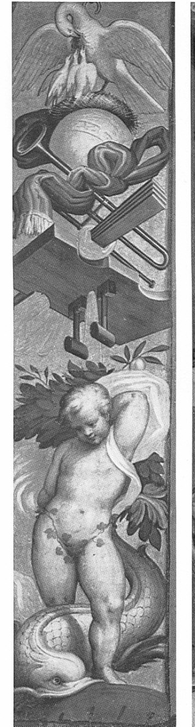 Un putto, un delfino e strumenti musicali, putto, un delfino e strumenti musicali (dipinto, ciclo) di Campi Bernardino (sec. XVI)