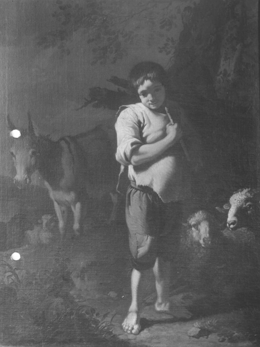 Giovane pastore in piedi, con un asinello e alcune pecore, giovane pastore in piedi, con un asinello e alcune pecore (dipinto, opera isolata) di Londonio Francesco (terzo quarto sec. XVIII)