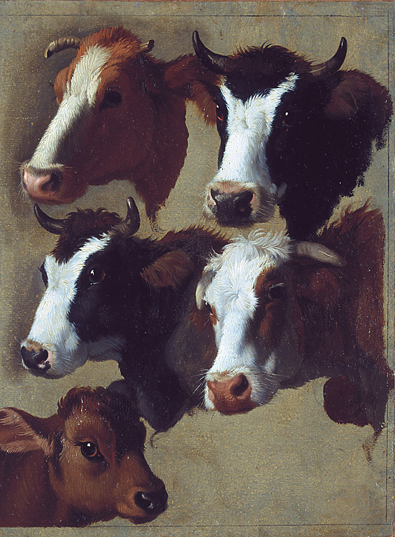 Quattro teste di mucca e una di vitellino, quattro teste di mucca e una di vitellino (dipinto, serie) di Londonio Francesco (sec. XVIII)