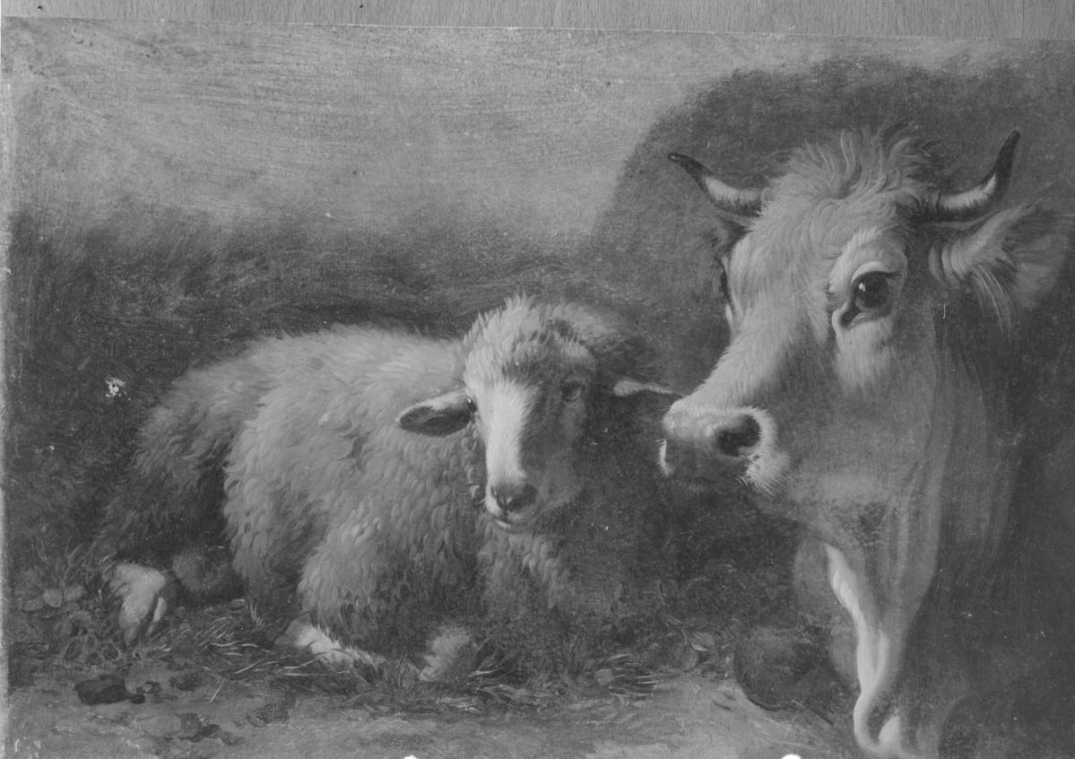 Pecora e mucca, pecora e mucca (dipinto, serie) di Londonio Francesco (sec. XVIII)