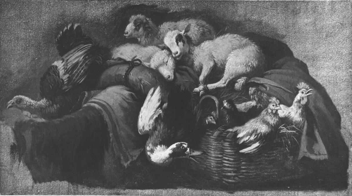 Natura morta di animali, natura morta di animali (dipinto, serie) di Londonio Francesco (sec. XVIII)