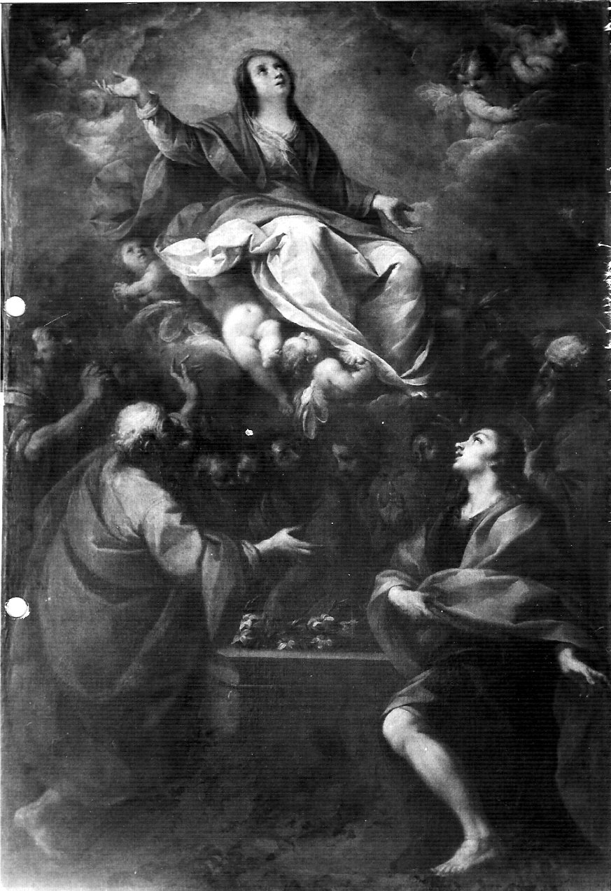L'assunzione della Vergine, Assunzione della Madonna (pala d'altare, opera isolata) di Nuvolone Carlo Francesco (sec. XVII)