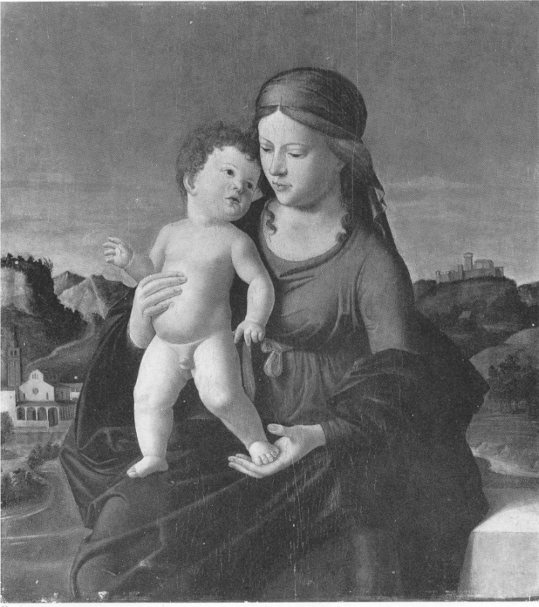 Madonna col Bambino, Madonna con Bambino (dipinto, opera isolata) di Cima Giovanni Battista detto Cima da Conegliano (bottega) (secc. XV/ XVI)