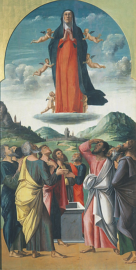 Assunzione della Vergine, Madonna assunta (dipinto, opera isolata) di Vivarini Alvise (sec. XV)
