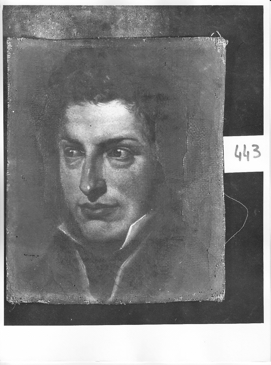 Testa di giovane uomo (dipinto, opera isolata) di Ligari Angelo (attribuito) (sec. XIX)