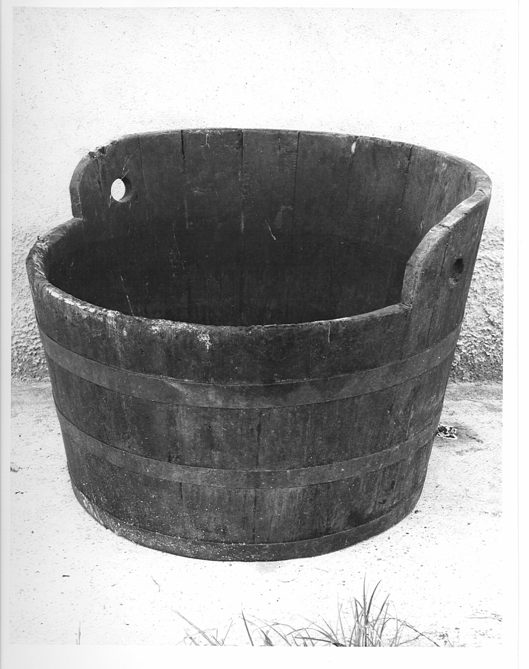 Non rilevato (tino per la pigiatura) - bottega lombarda (sec. XX)