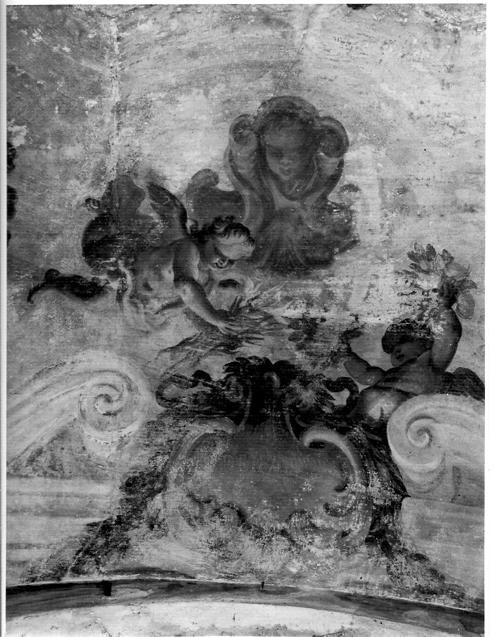 angelo (dipinto murale, elemento d'insieme) di Bianchi Pietro (sec. XVIII)