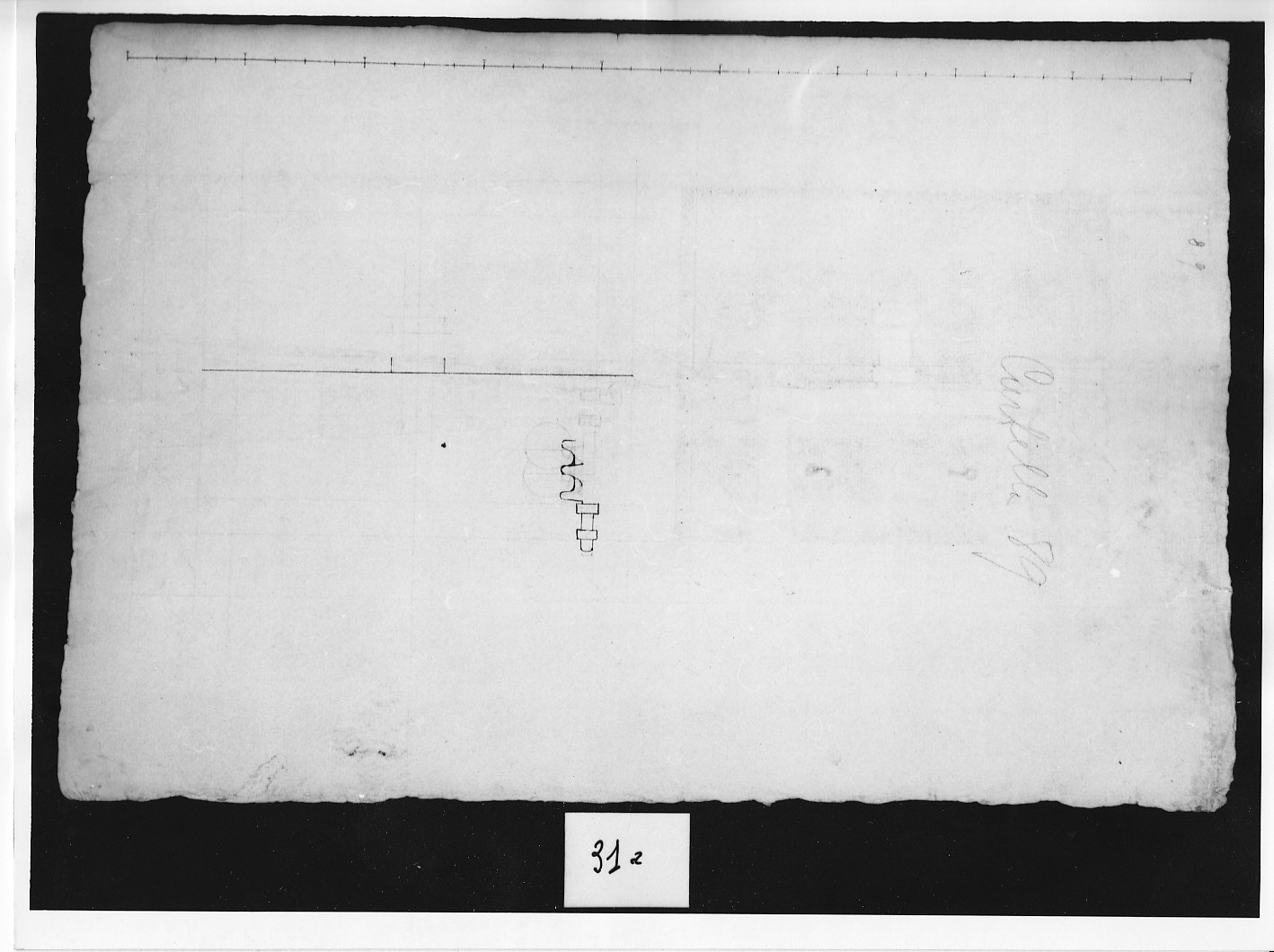 Schema di ingranaggio rotella imperniata a doppia gola (disegno, opera isolata) di Ligari Pietro (attribuito) (sec. XVIII)