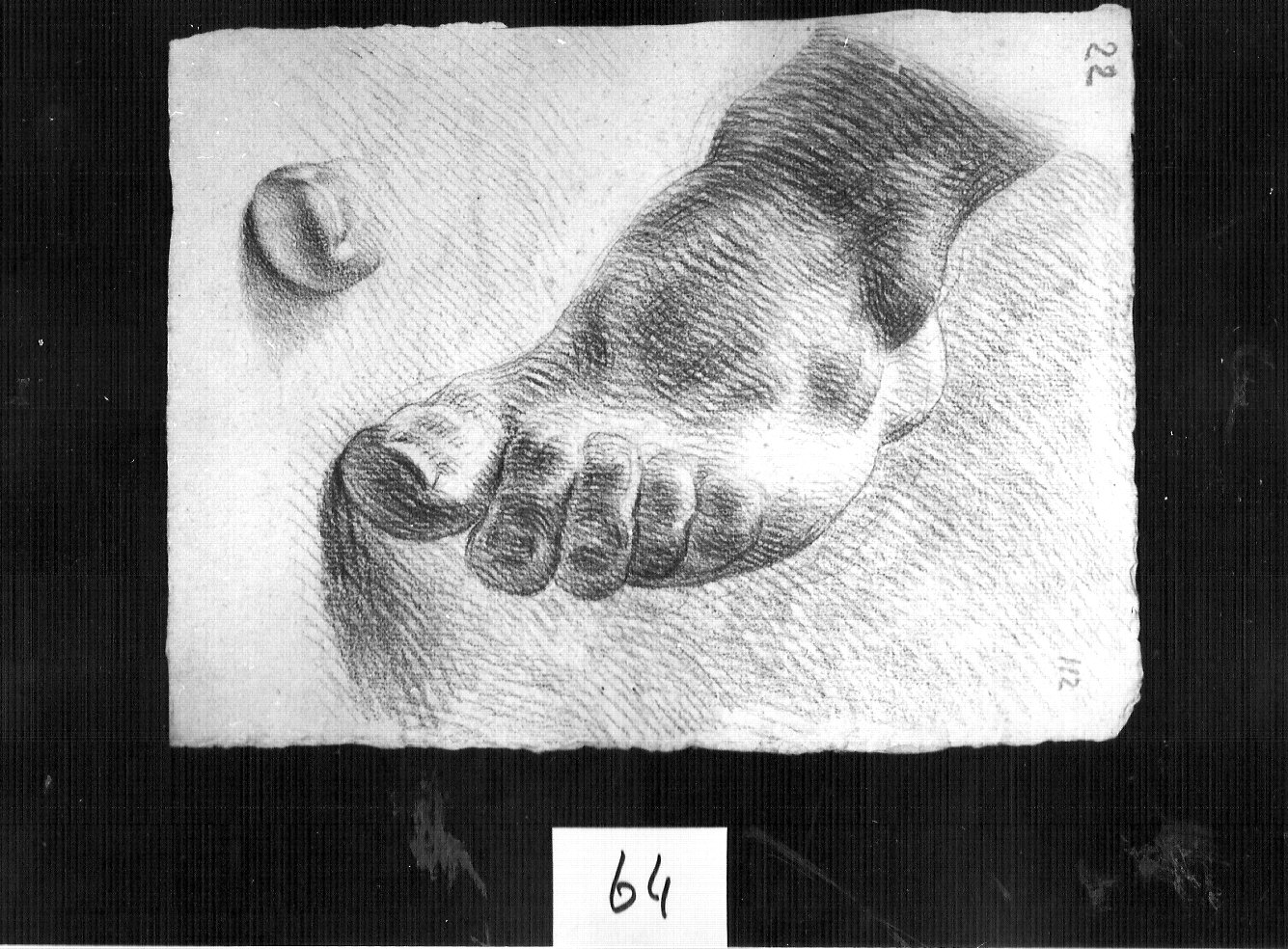 piede sinistro con particolare di alluce (disegno, opera isolata) di Ligari Cesare (attribuito) (sec. XVIII)