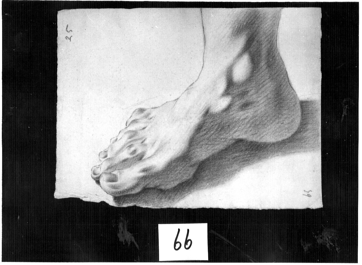 piede destro // contorno dello stesso (disegno, opera isolata) di Ligari Pietro (attribuito) (prima metà sec. XVIII)