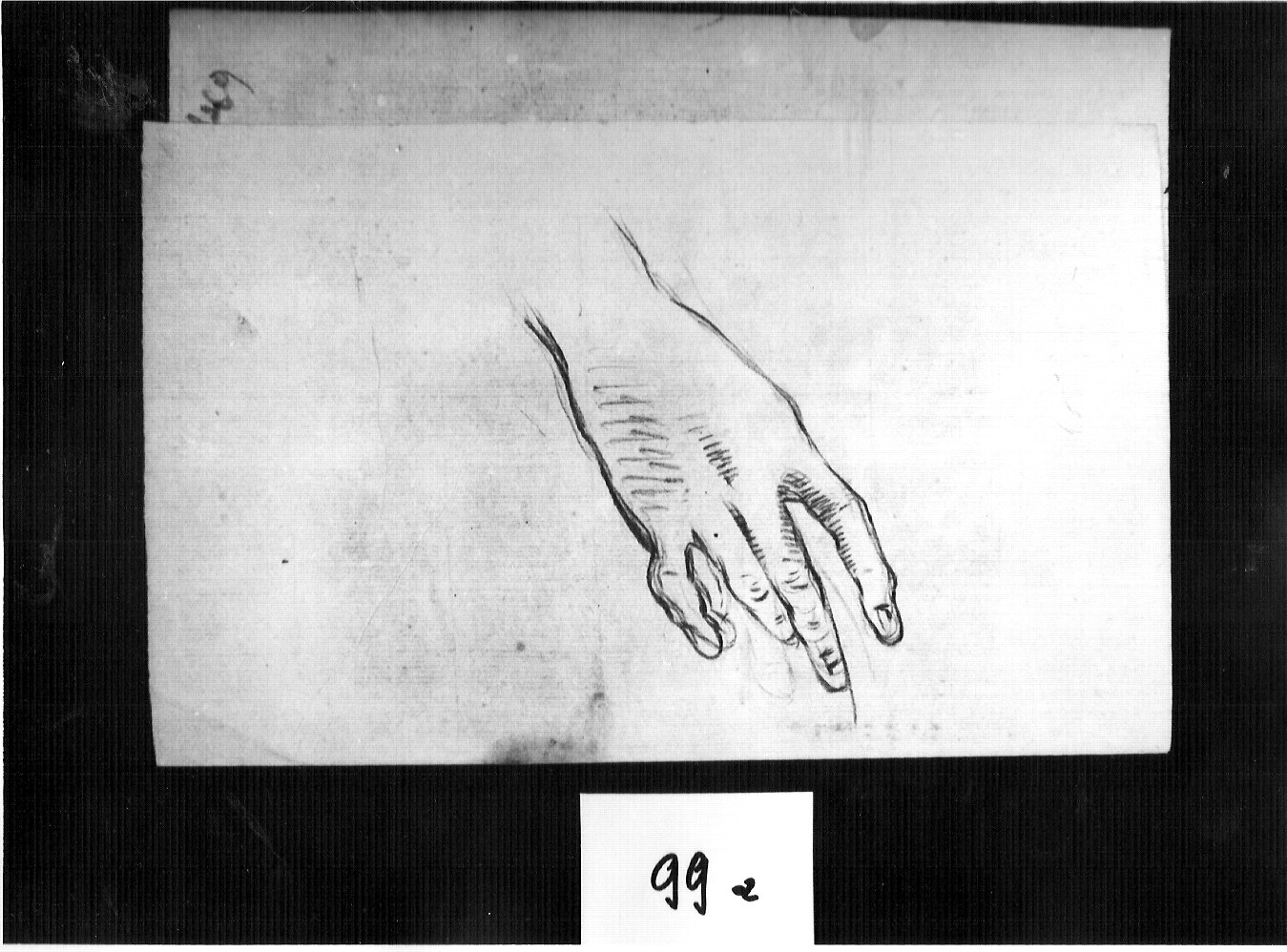 mano vista dal dorso (disegno, opera isolata) di Ligari Cesare (attribuito) (sec. XVIII)
