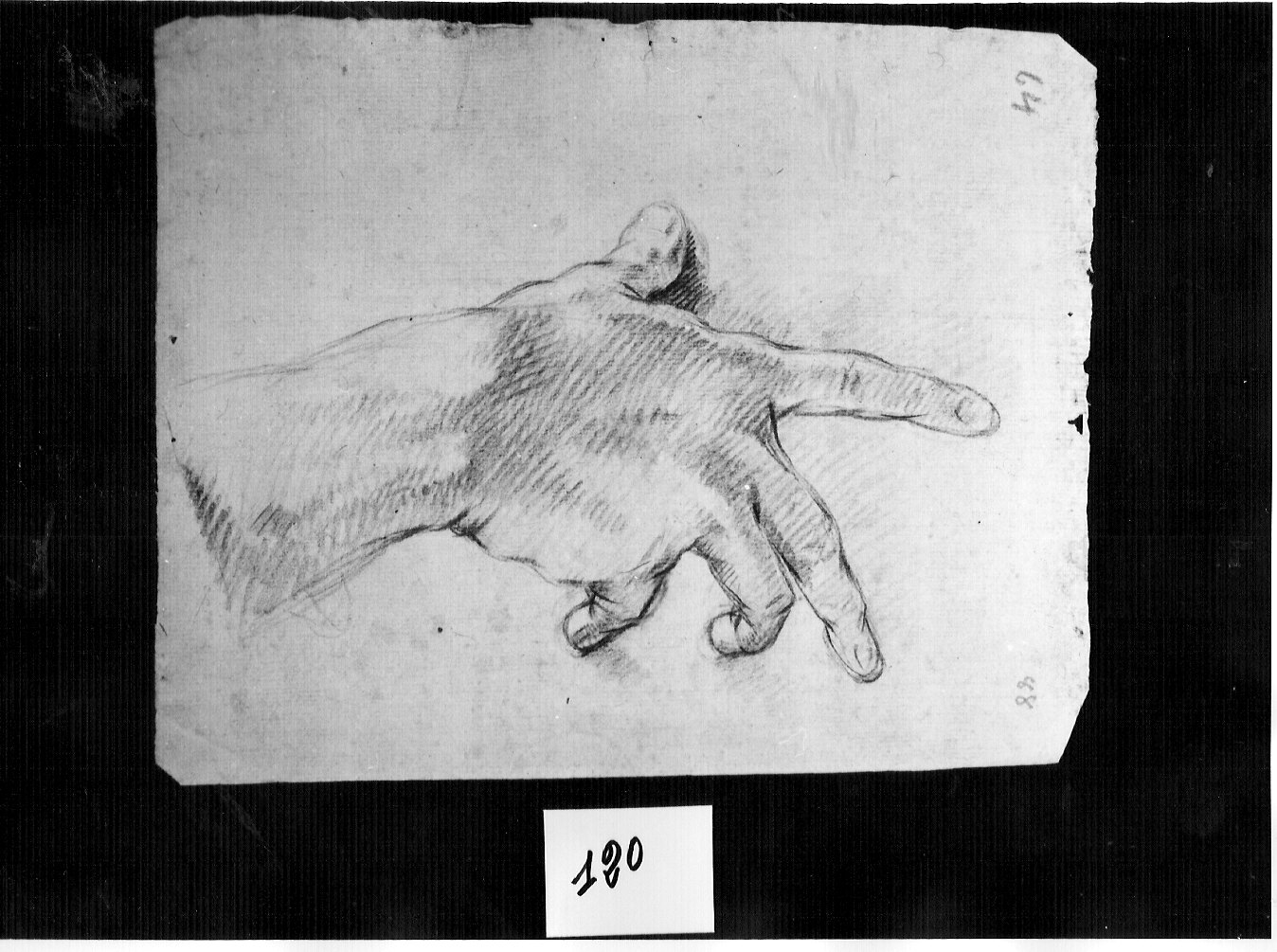 mano maschile (disegno, opera isolata) di Ligari Pietro (attribuito) (sec. XVIII)