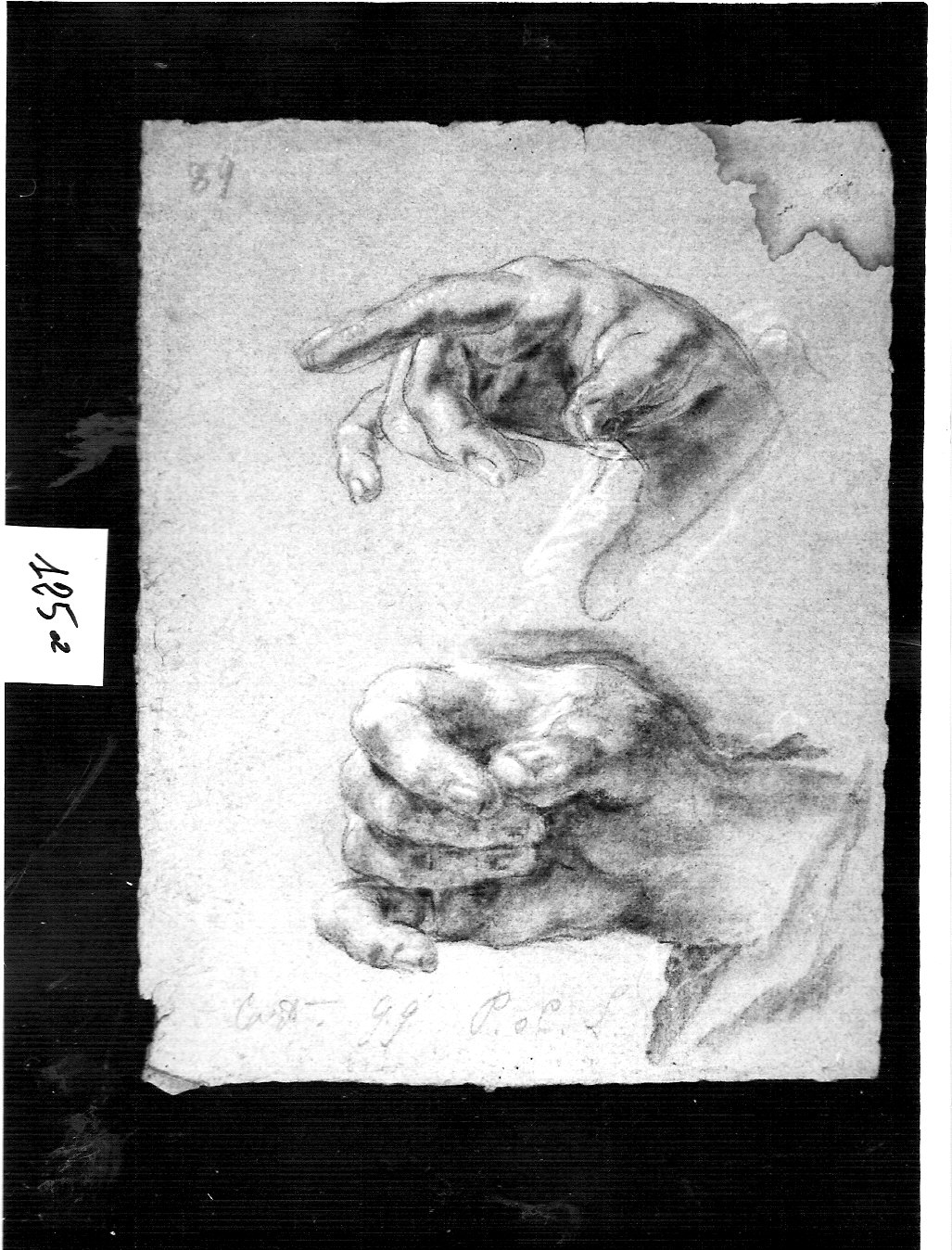 mano con indice teso// due mani maschili (disegno, opera isolata) di Ligari Cesare (sec. XVIII)