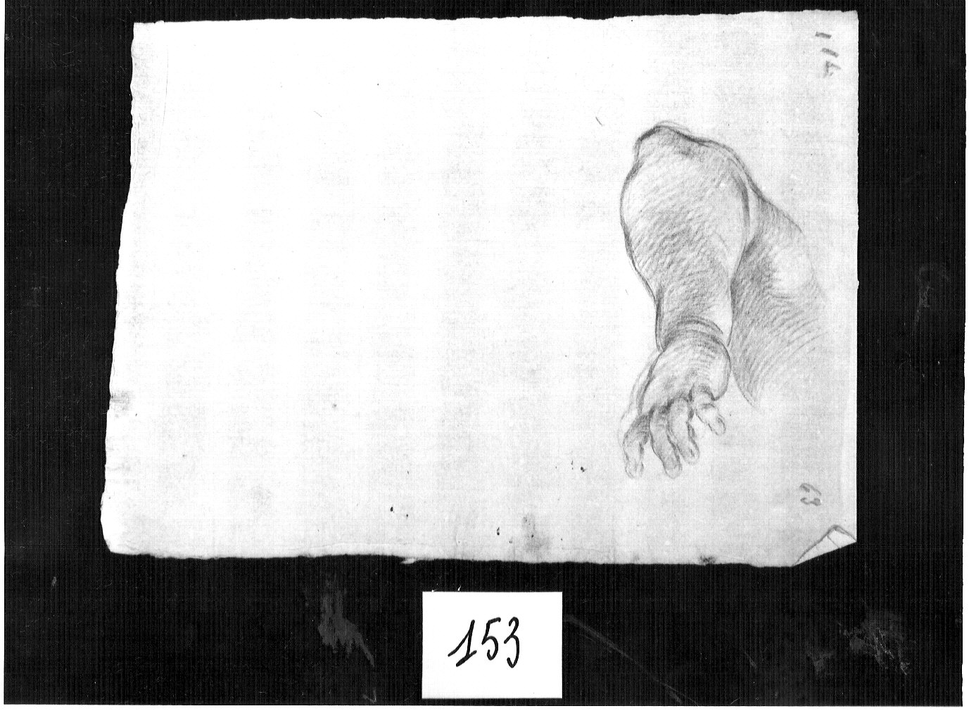 braccio e mano infantile (disegno, opera isolata) di Ligari Cesare (attribuito) (sec. XVIII)