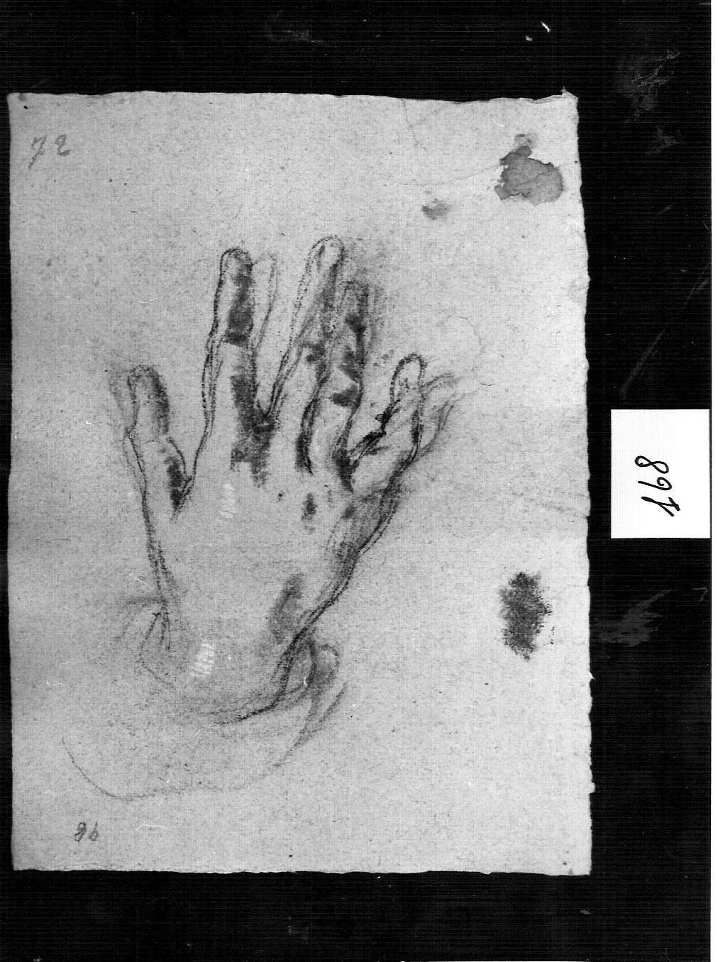 mano maschile (disegno, opera isolata) di Ligari Cesare (attribuito) (sec. XVIII)