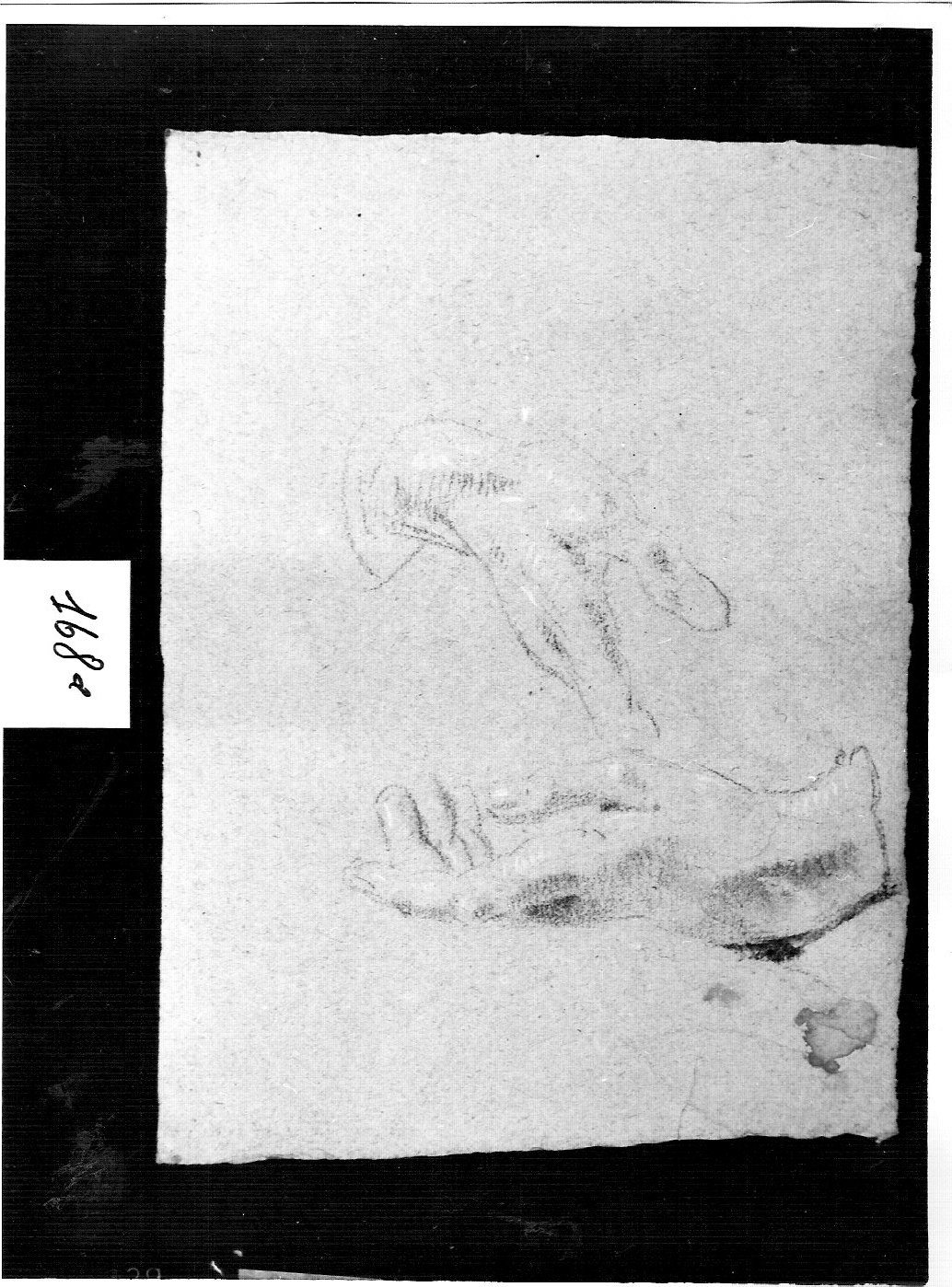 due mani maschili (disegno, opera isolata) di Ligari Cesare (attribuito) (sec. XVIII)