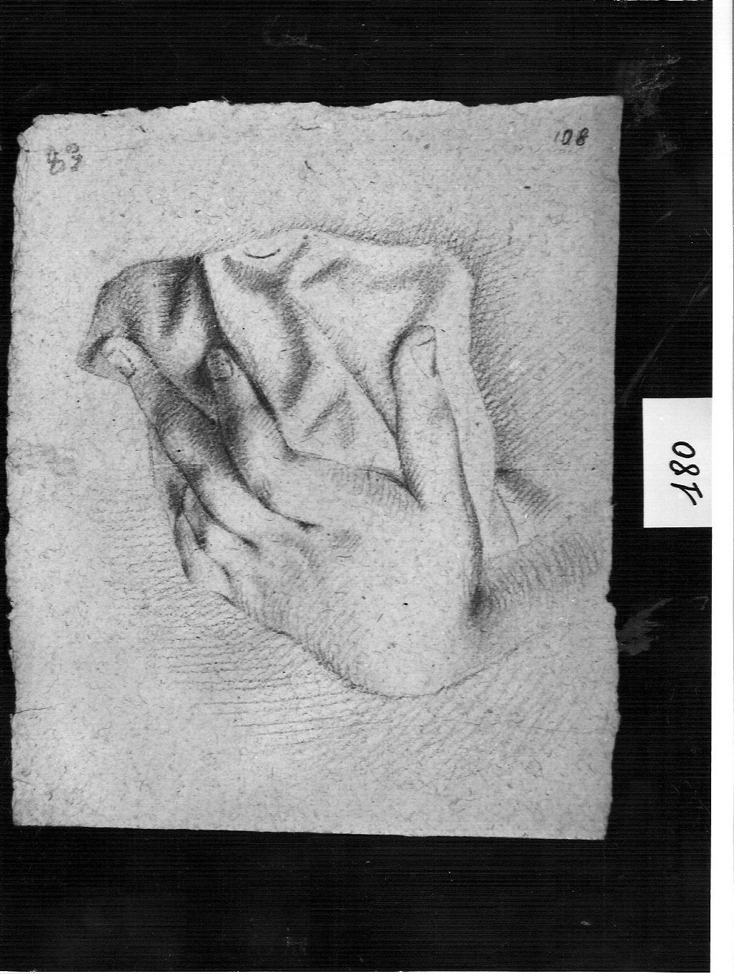 mano femminile su panneggio (disegno, opera isolata) di Ligari Vittoria (attribuito) (sec. XVIII)