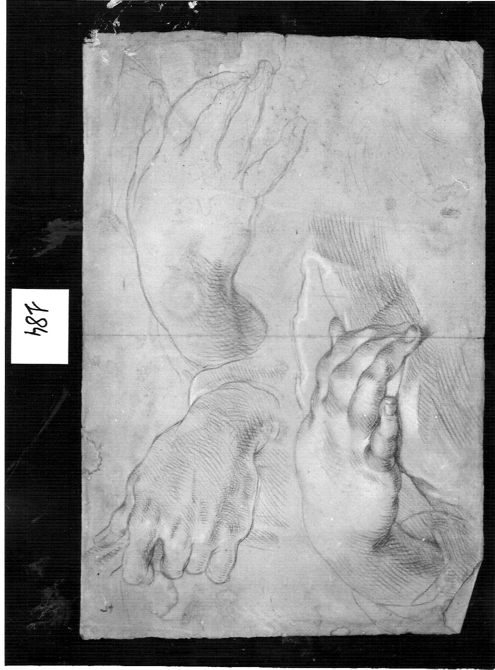 due mani femminili e una maschile (disegno, opera isolata) di Ligari Cesare (attribuito) (sec. XVIII)