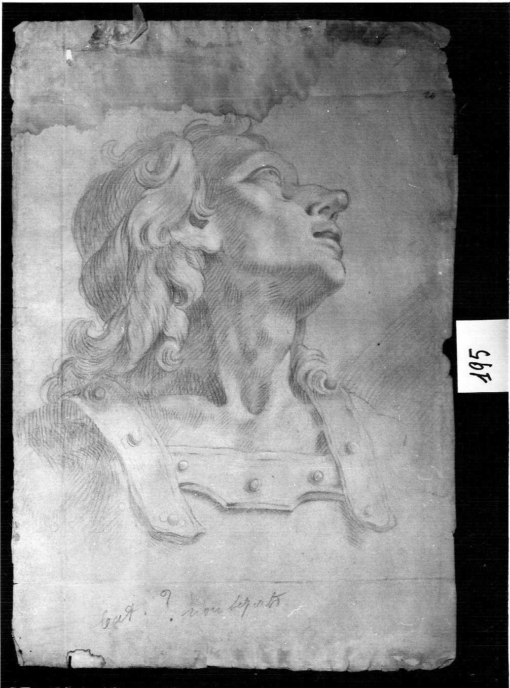 testa di giovane uomo (disegno, opera isolata) di Ligari Pietro (attribuito) (inizio sec. XVIII)