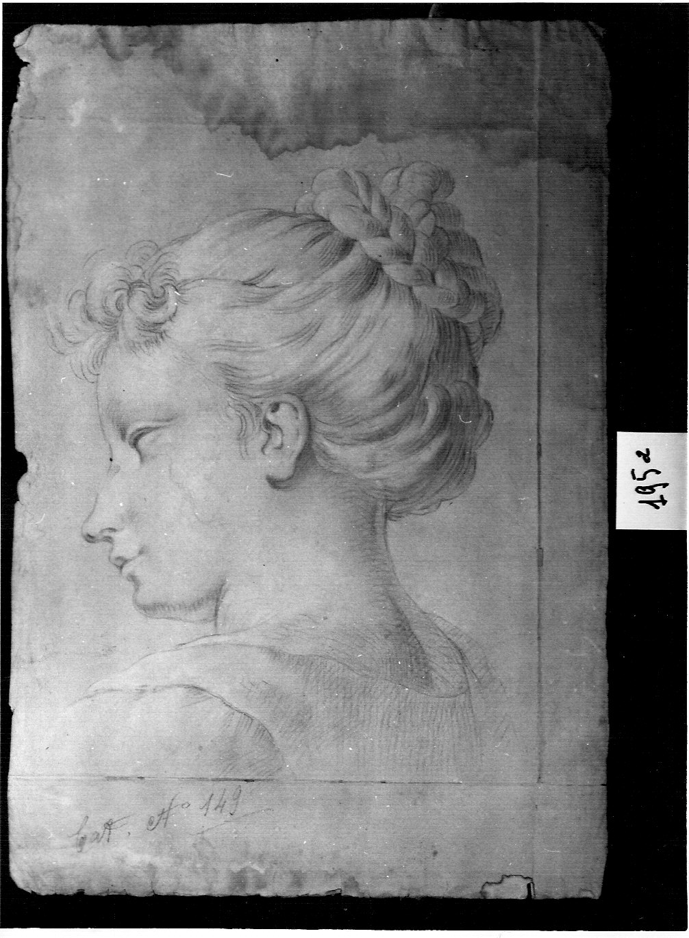testa femminile (disegno, opera isolata) di Ligari Pietro (attribuito) (inizio sec. XVIII)
