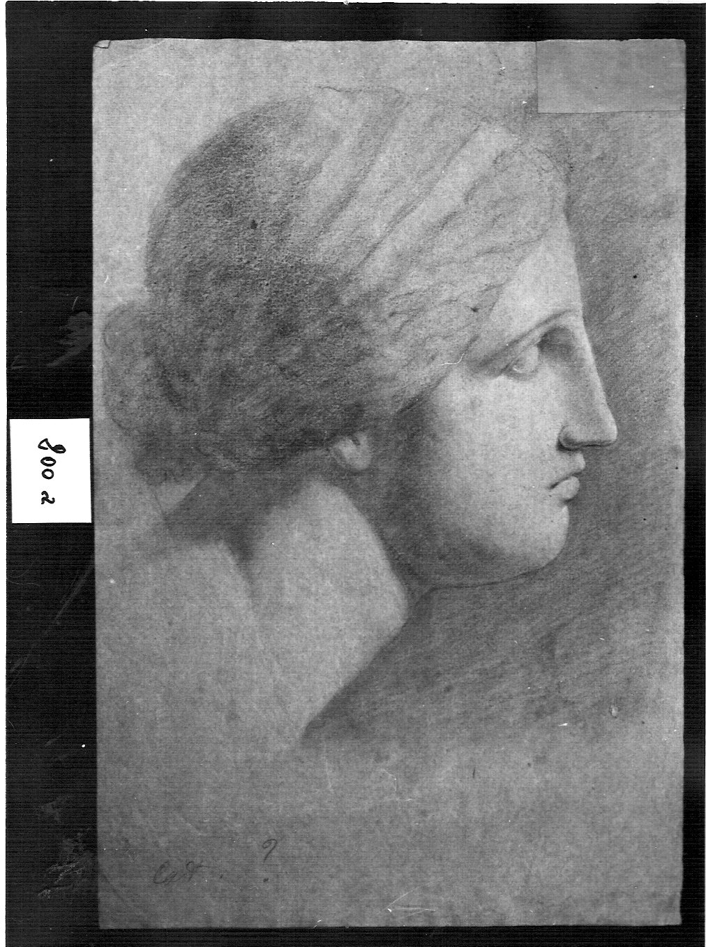 testa di statua femminile classica (disegno, opera isolata) di Ligari Angelo (attribuito) (sec. XIX)