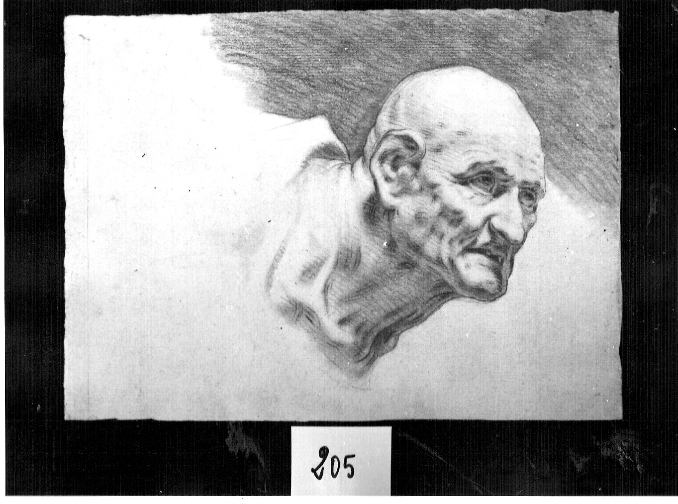 testa di vecchio (disegno, opera isolata) di Ligari Pietro (attribuito) (inizio sec. XVIII)