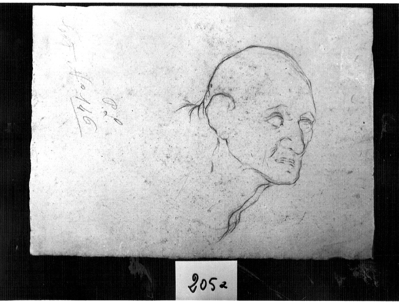 contorno della medesima (disegno, opera isolata) di Ligari Pietro (attribuito) (inizio sec. XVIII)