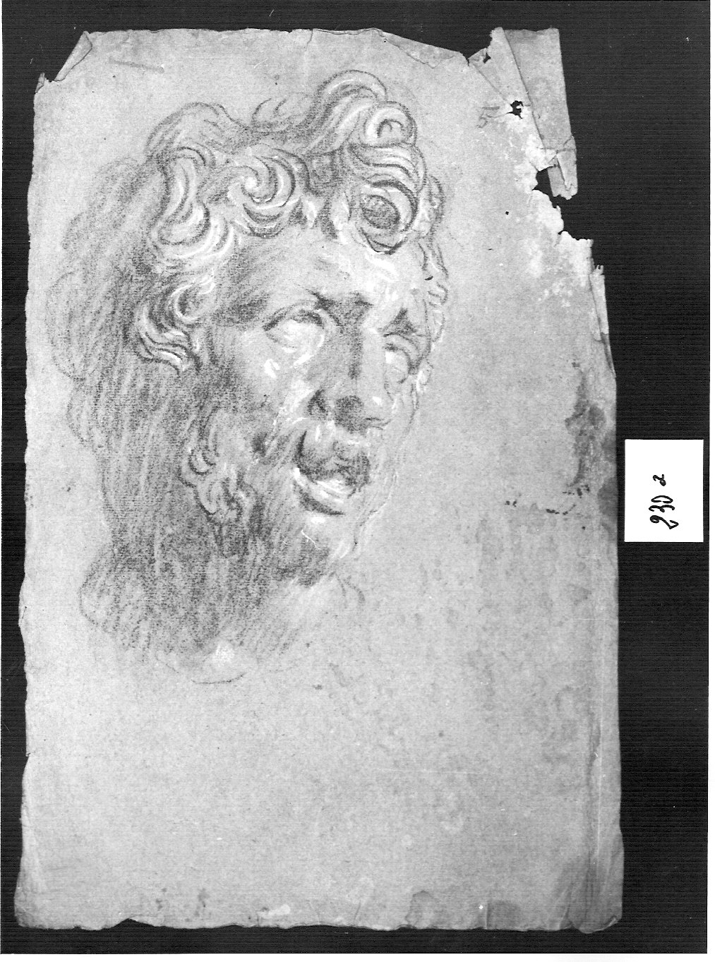 testa di fauno (?) (disegno, opera isolata) di Ligari Cesare (attribuito) (sec. XVIII)