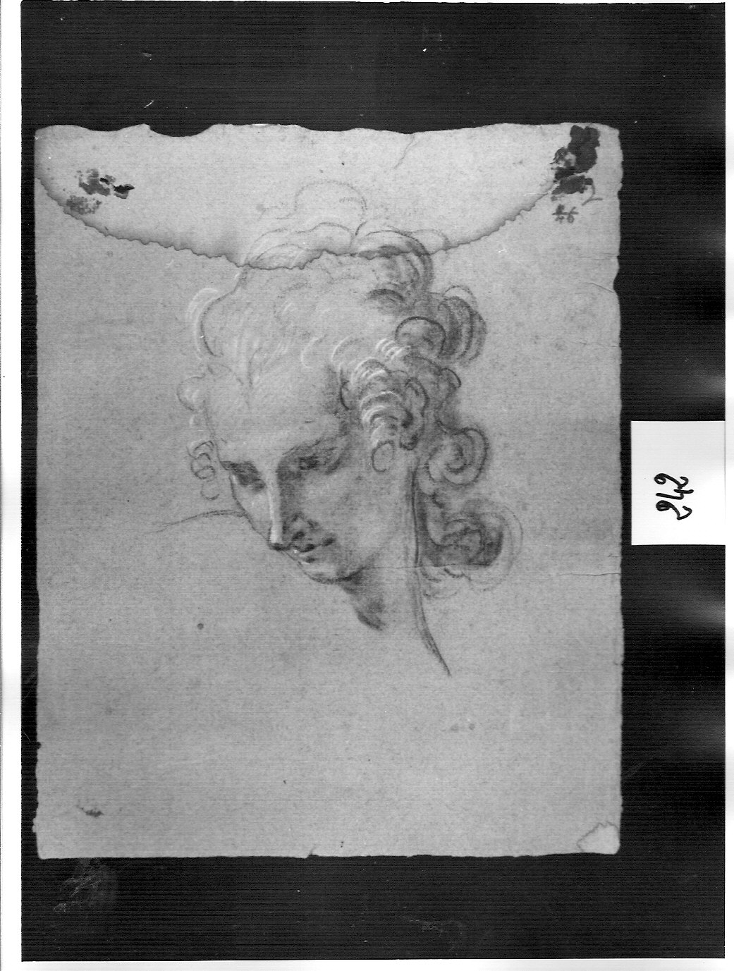 testa di giovane (angelo?)// parte superiore di un viso (disegno, opera isolata) di Ligari Cesare (attribuito) (metà sec. XVIII)