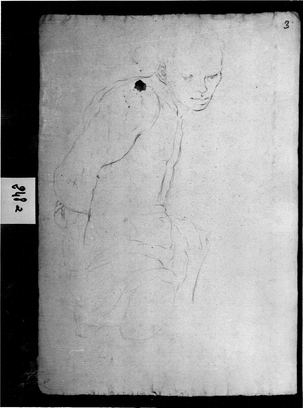 contorno di torso di schiavo ricciuto visto di profilo (disegno, opera isolata) di Ligari Pietro (attribuito) (inizio sec. XVIII)