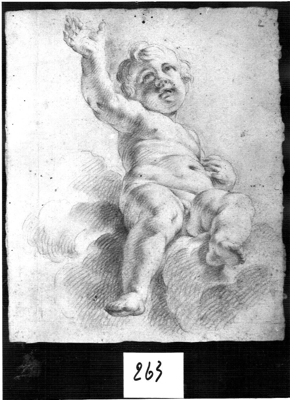 puttino con braccio alzato (disegno, opera isolata) di Ligari Cesare (attribuito) (sec. XVIII)