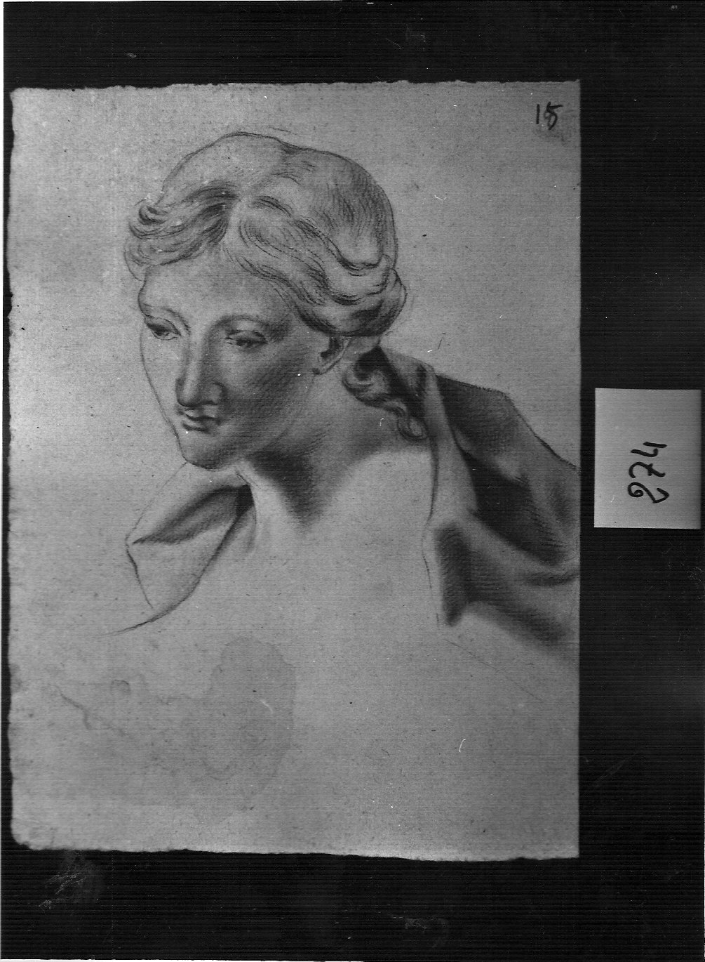 testa di giovane donna (disegno, opera isolata) di Ligari Vittoria (attribuito) (sec. XVIII)