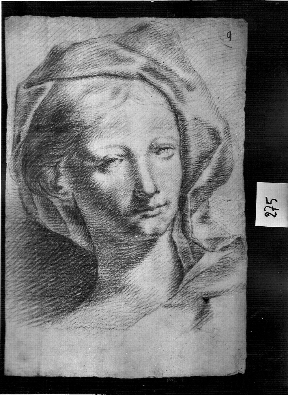 testa di giovane donna con velo (disegno, opera isolata) di Ligari Cesare (attribuito) (sec. XVIII)