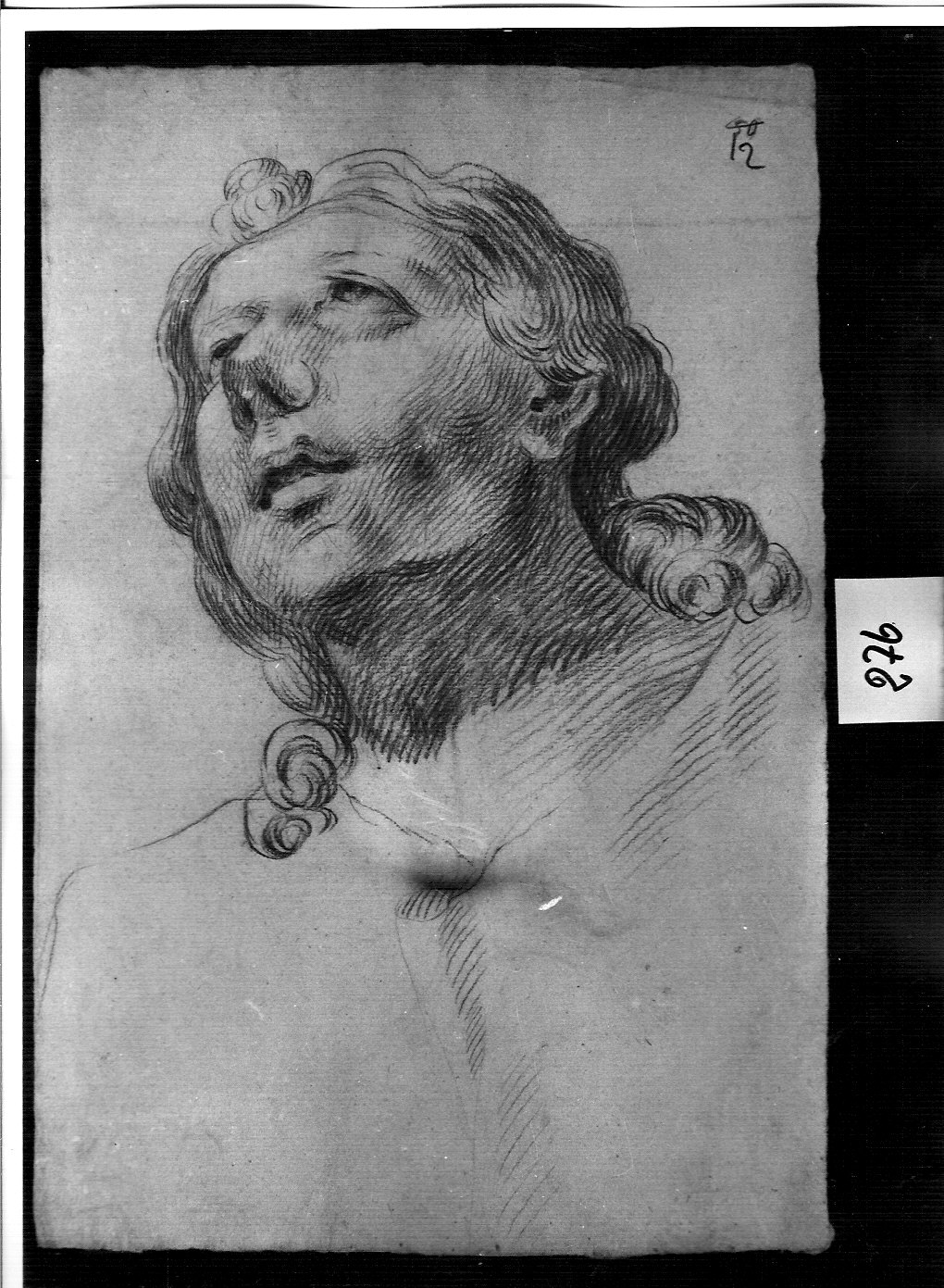 testa di giovane uomo (disegno, opera isolata) di Ligari Cesare (attribuito) (sec. XVIII)