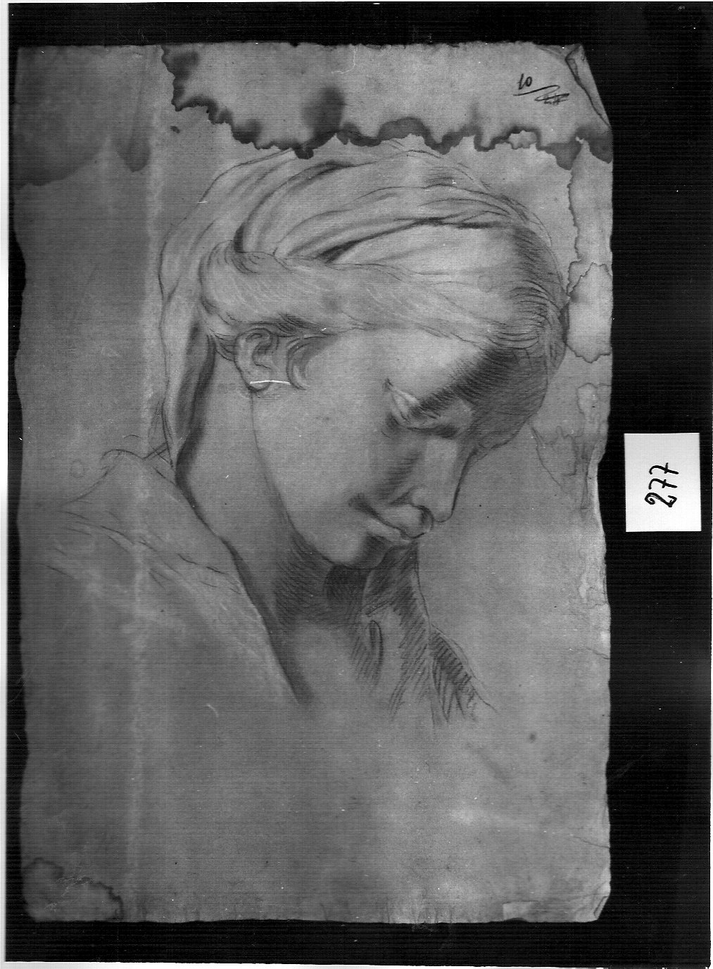 testa di fanciulla china (disegno, opera isolata) di Ligari Pietro (attribuito) (prima metà sec. XVIII)