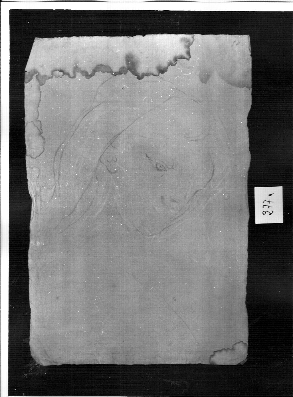 traccia di testa di fanciulla china (disegno, opera isolata) di Ligari Pietro (attribuito) (prima metà sec. XVIII)