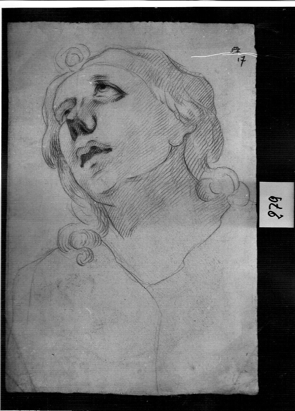 testa di giovane uomo (disegno, opera isolata) di Ligari Cesare (attribuito) (sec. XVIII)