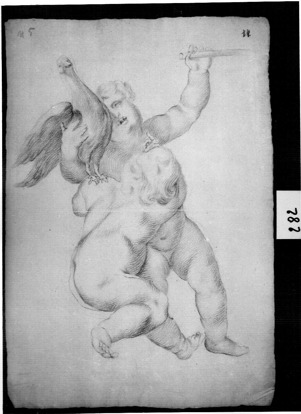 due puttini (disegno, opera isolata) di Ligari Angelo (attribuito) (sec. XIX)